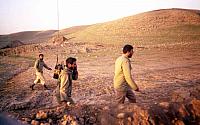 Shafighefakeh.ir- (477)