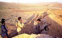 Shafighefakeh.ir- (478)