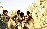 Shafighefakeh.ir (172)
