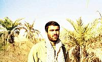 Shafighefakeh.ir (186)