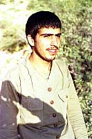 Shafighefakeh.ir (196)
