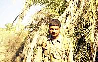 Shafighefakeh.ir (203)