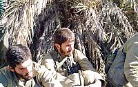 Shafighefakeh.ir (206)