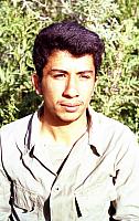 Shafighefakeh.ir (207)