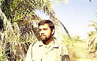 Shafighefakeh.ir (212)