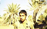 Shafighefakeh.ir (217)