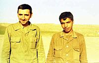 Shafighefakeh.ir (223)