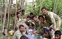 Shafighefakeh.ir (234)