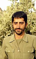 Shafighefakeh.ir (240)