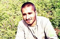 Shafighefakeh.ir (264)