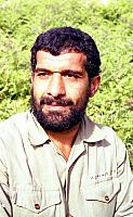 Shafighefakeh.ir (268)