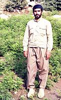 Shafighefakeh.ir (269)