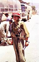 Shafighefakeh.ir (291)