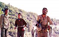 Shafighefakeh.ir (293)