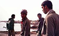 Shafighefakeh.ir (40)