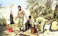 Shafighefakeh.ir (71)