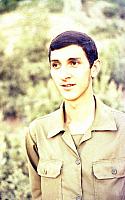 gordanemalek (15)