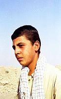 shafighefakeh.ir Parvaz (335)