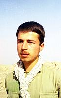 shafighefakeh.ir Parvaz (336)