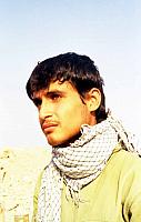 shafighefakeh.ir Parvaz (339)