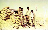 shafighefakeh.ir Parvaz (387)