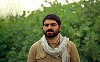 shafighefakeh.ir Site (330)