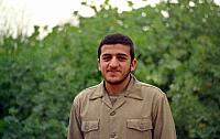 shafighefakeh.ir Site (332)