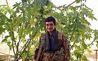 shafighefakeh.ir Site (413)