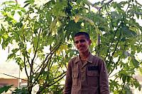 shafighefakeh.ir Site (418)