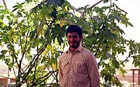 shafighefakeh.ir Site (419)