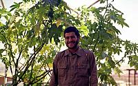 shafighefakeh.ir Site (422)