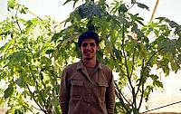 shafighefakeh.ir Site (426)