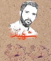 shahid (29)