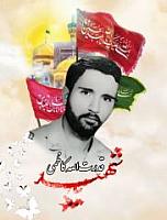 shahid (34)
