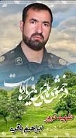 shahid (46)