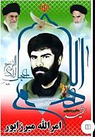 shahid (62)