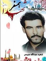 shahid (70)