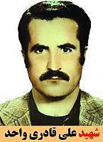 آلبوم اختصاصی شهید علی قادری واحد . کد 1399151 آ