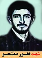 آلبوم اختصاصی شهید غفور دهشجو . کد 1399168 آ