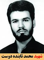 آلبوم اختصاصی شهید محمد تابنده دوست . کد 1399194 آ