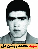 آلبوم اختصاصی شهید محمد روشن دل . کد 1399203 آ