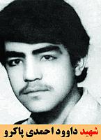 شهید داوود احمدی پاکرو