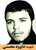 شهید داوود محسنی