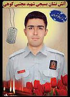 مجتبی کوهی