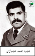 آلبوم اختصاصی تصاویر شهید محمد شهبازی . کد 1403118261 آ