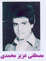 آلبوم اختصاصی تصاویر شهید مصطفی عزیزمحمدی . کد 1403130656 آ