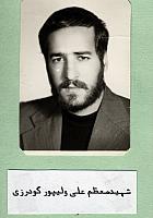 آلبوم اختصاصی تصاویر شهید علی ولی پورگودرزی . کد 1403132204 آ