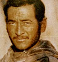 آلبوم اختصاصی تصاویر شهید حسن نیشابوری . کد 1403134933 آ