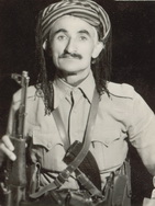 آلبوم اختصاصی تصاویر شهید محمدامین احمدی . کد 1403136833 آ