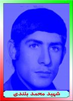 آلبوم اختصاصی تصاویر شهید محمد بلندی . کد 140313989 آ